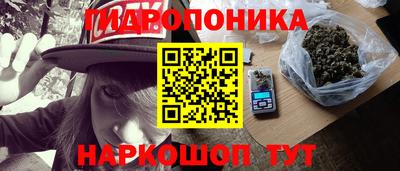 эйфоретик Малгобек