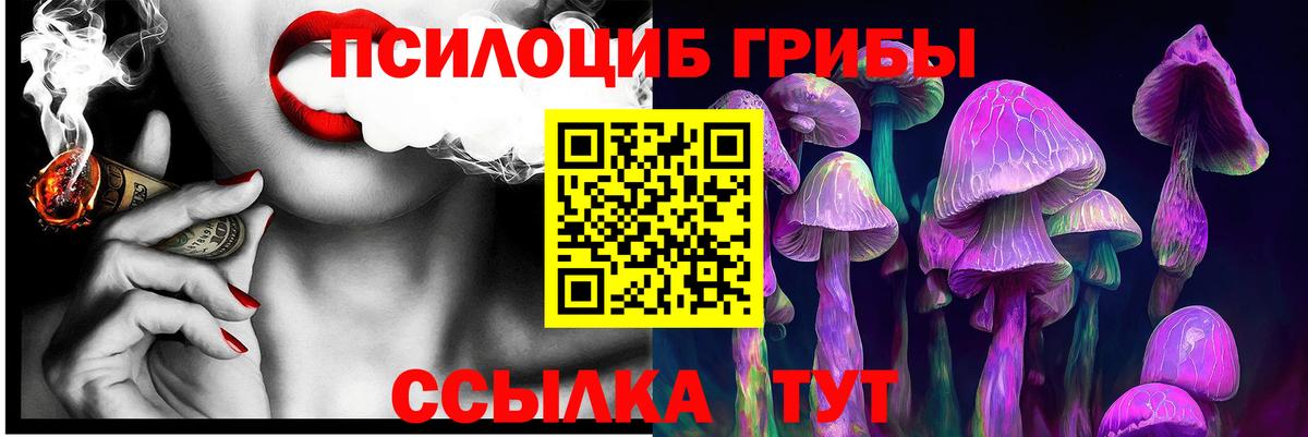Кемерово  Галлюциногенные грибы Cubensis  Вход с VPN 